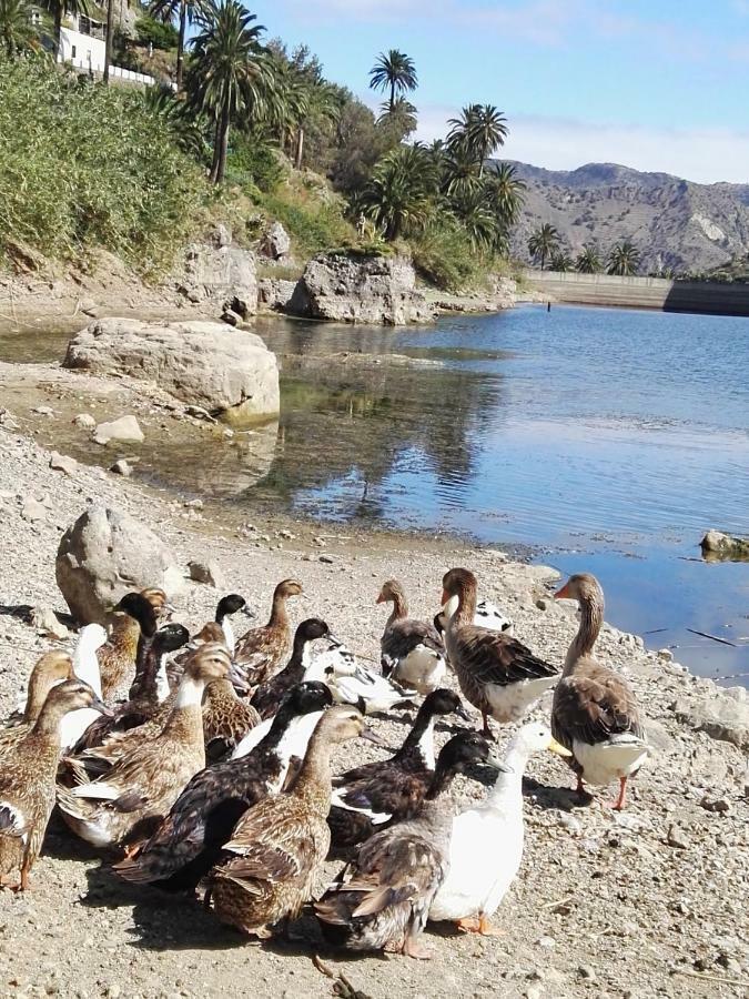 Casa Rural La Presa バジェエルモソ エクステリア 写真